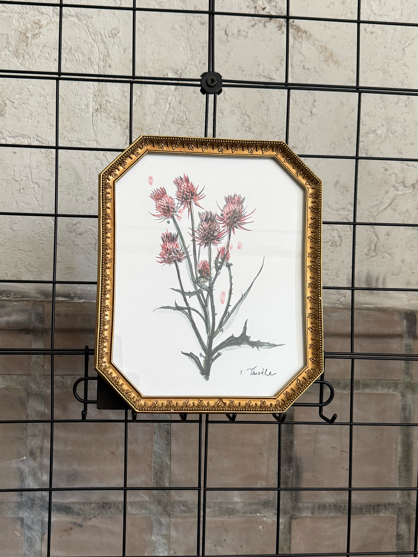 Framed Thistle