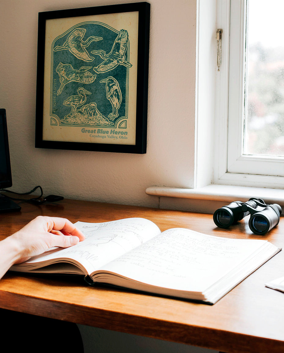 Ohio Great Blue Heron