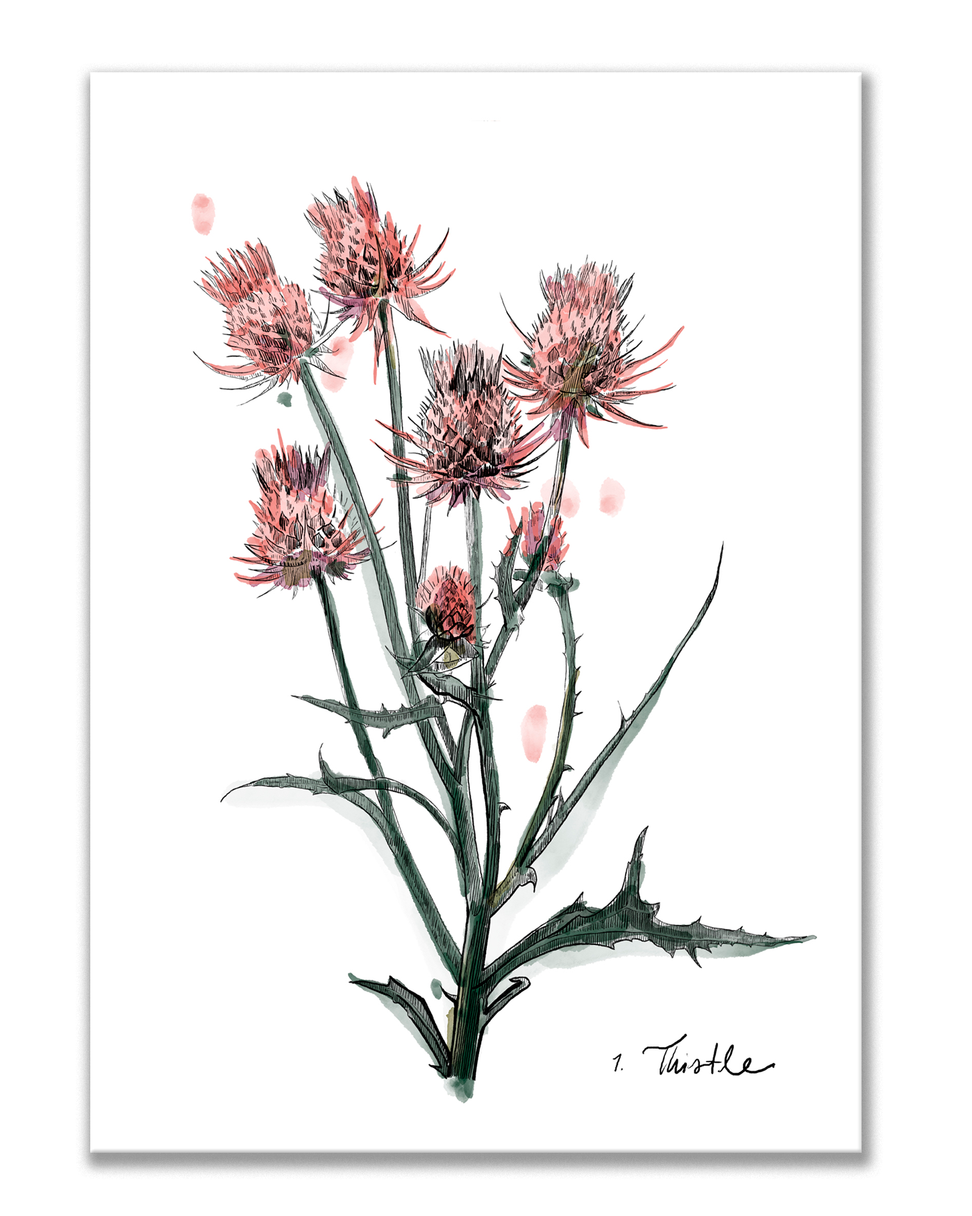 Giclée Minis | 5x7 Art Prints