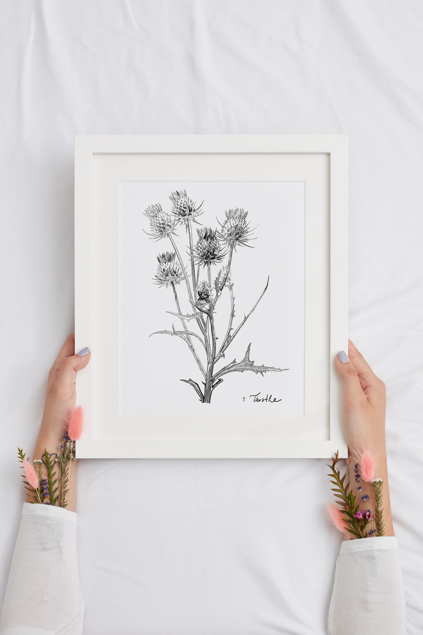 Thistle Variations