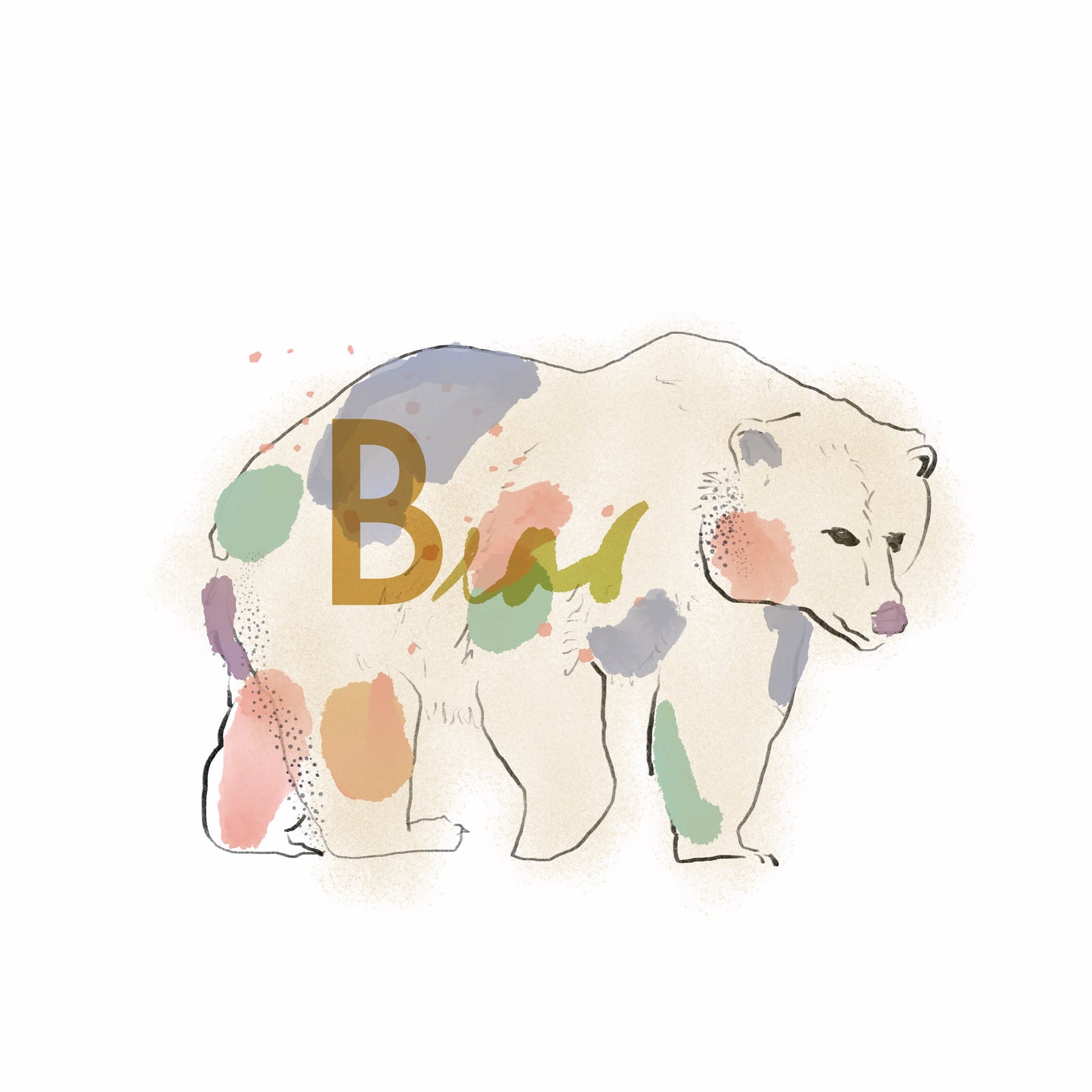 bear