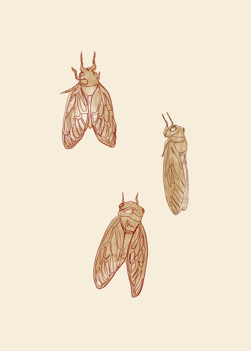 Cicada Travel Bag