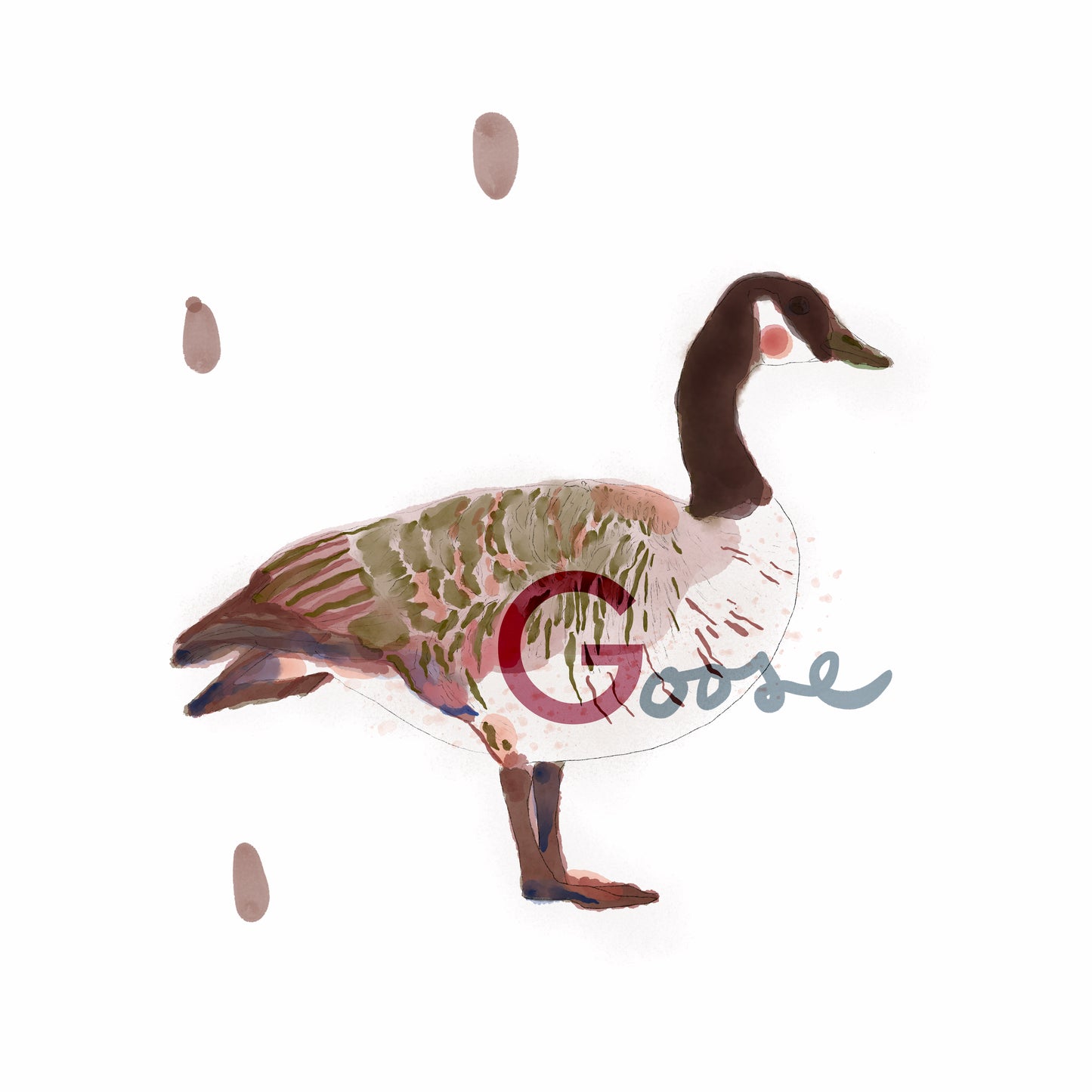 Goose