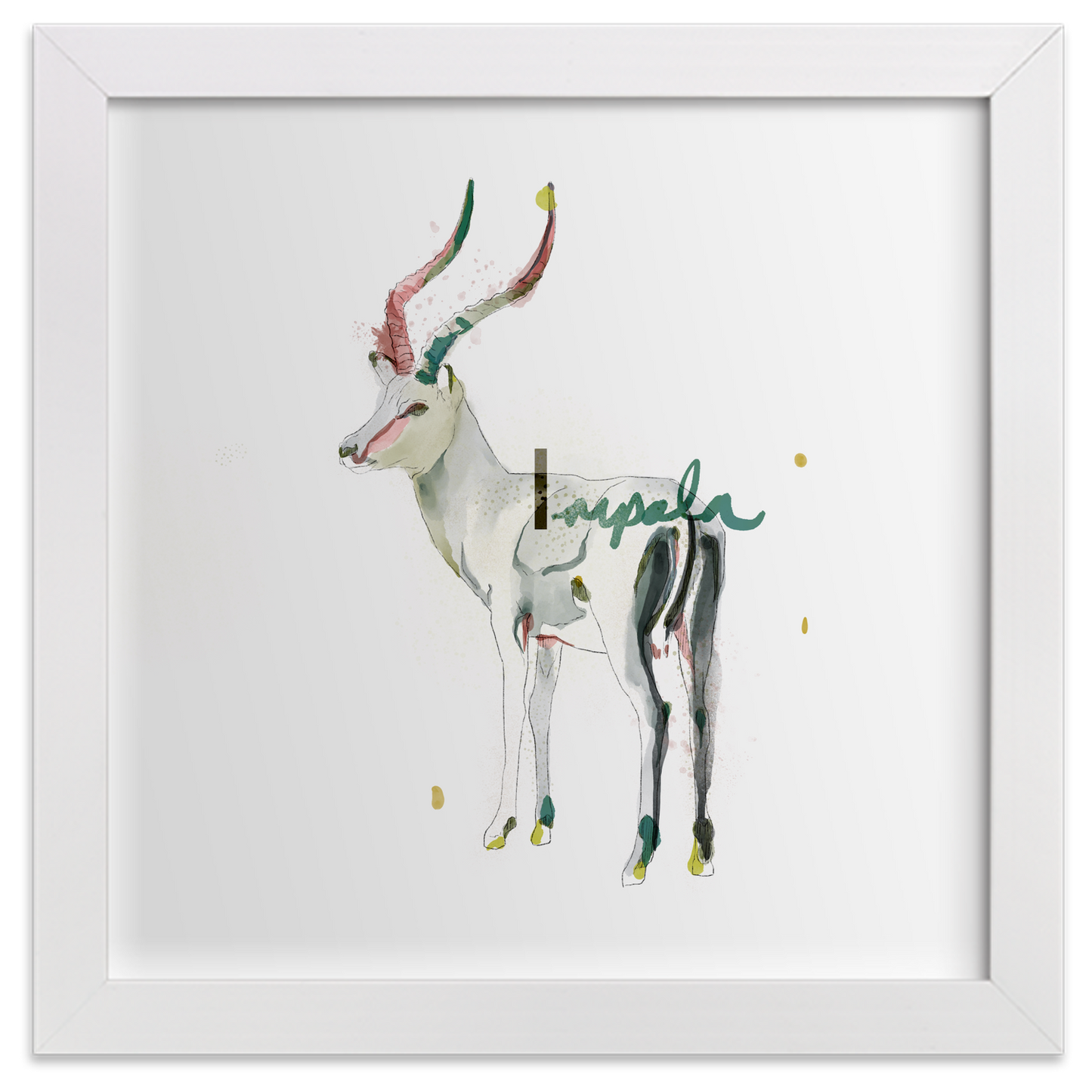 Impala