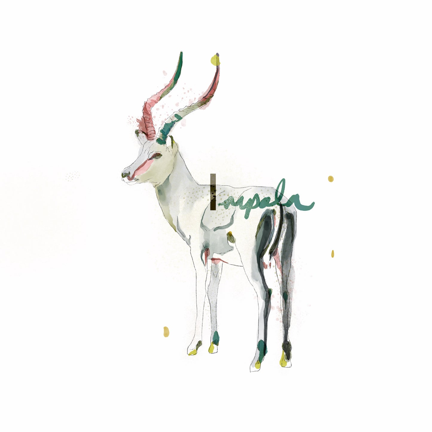 Impala