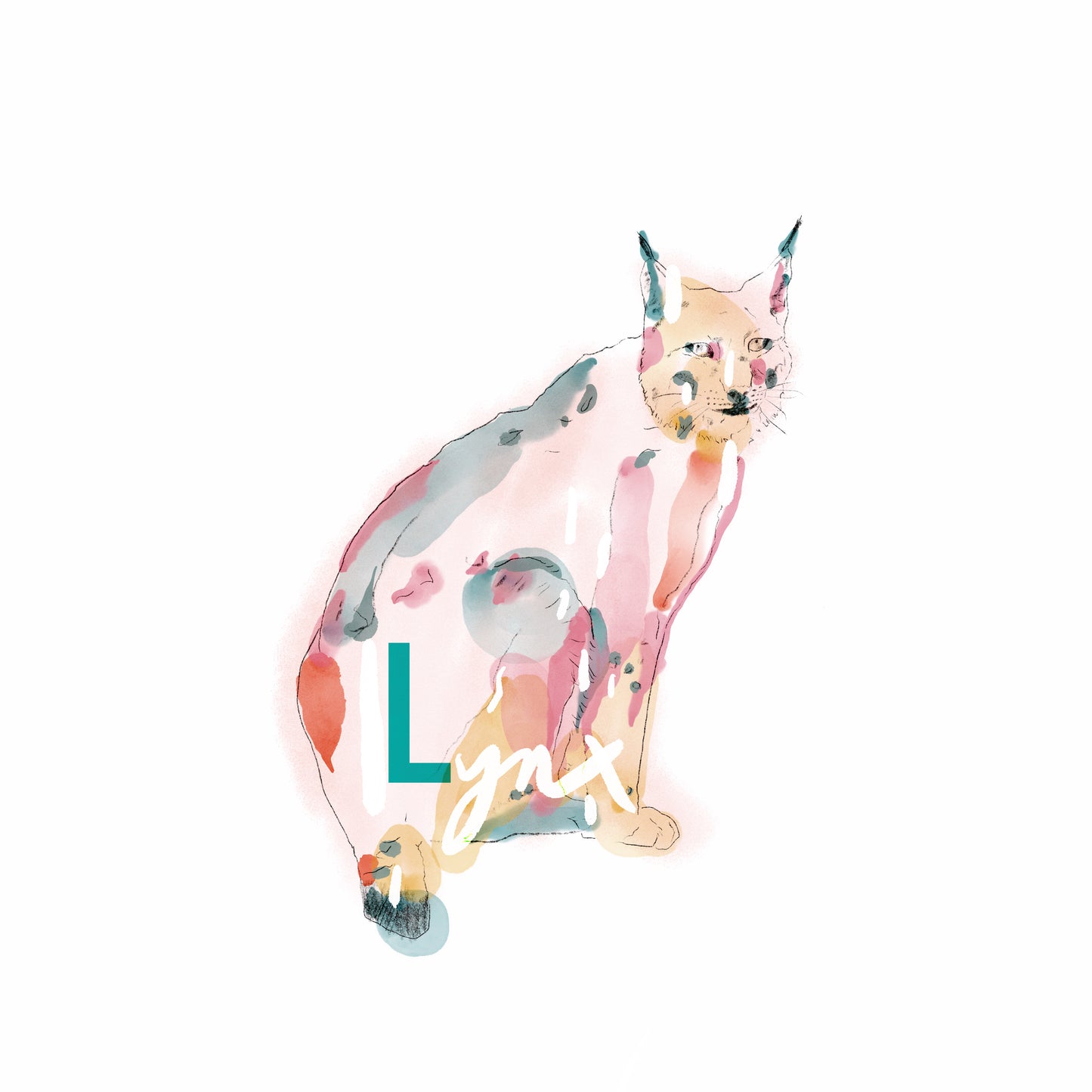 lynx