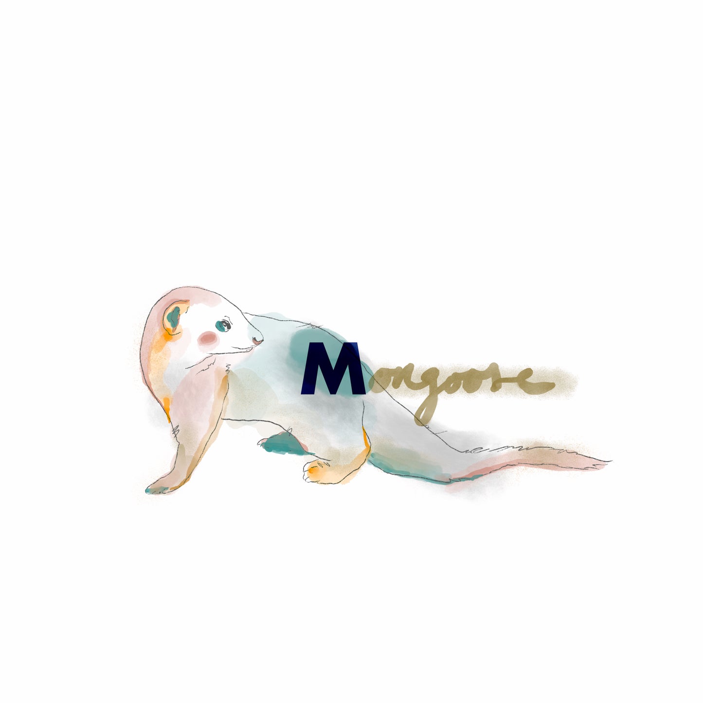 Mongoose