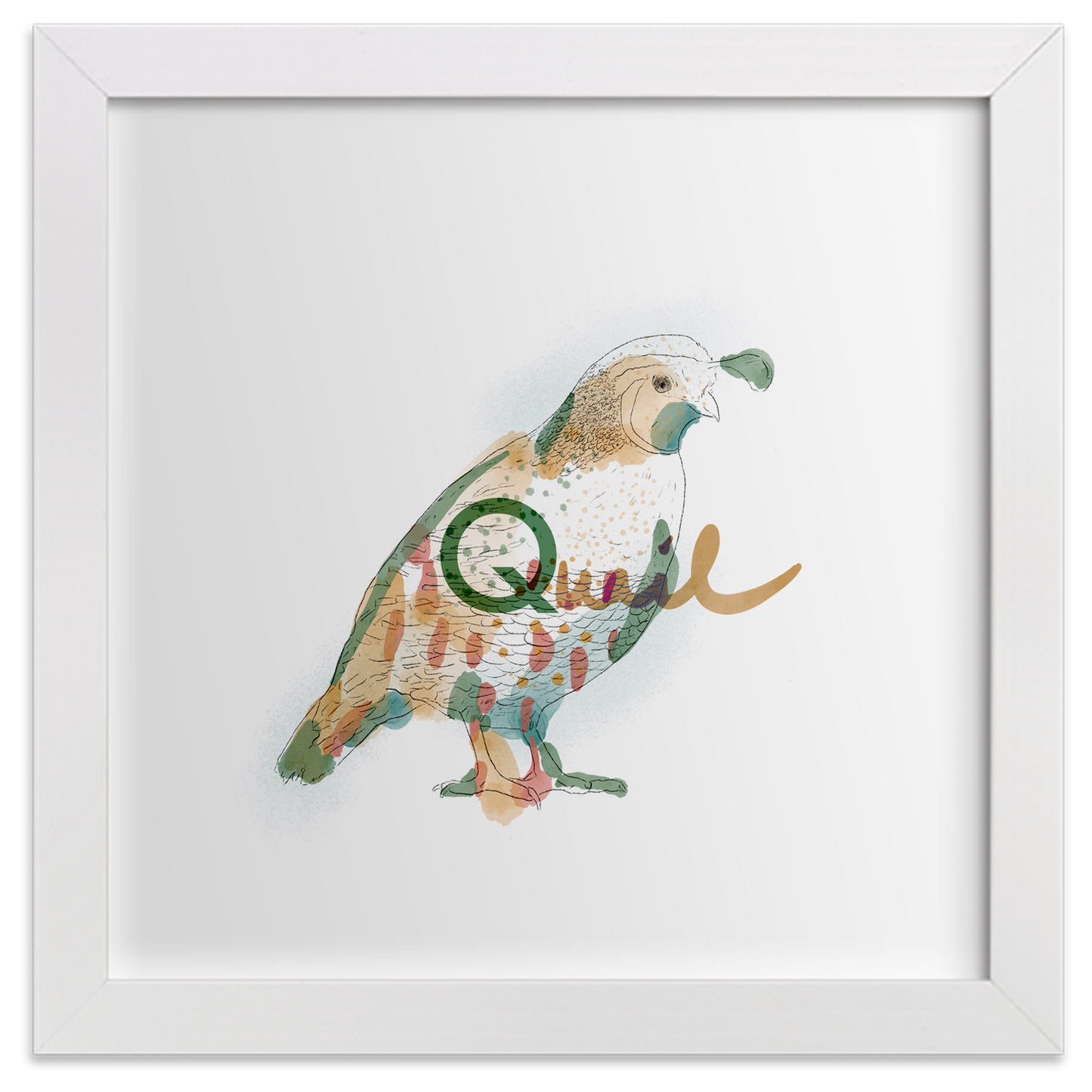 Quail