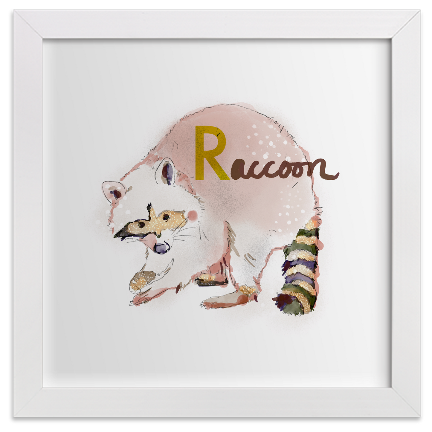 Raccoon