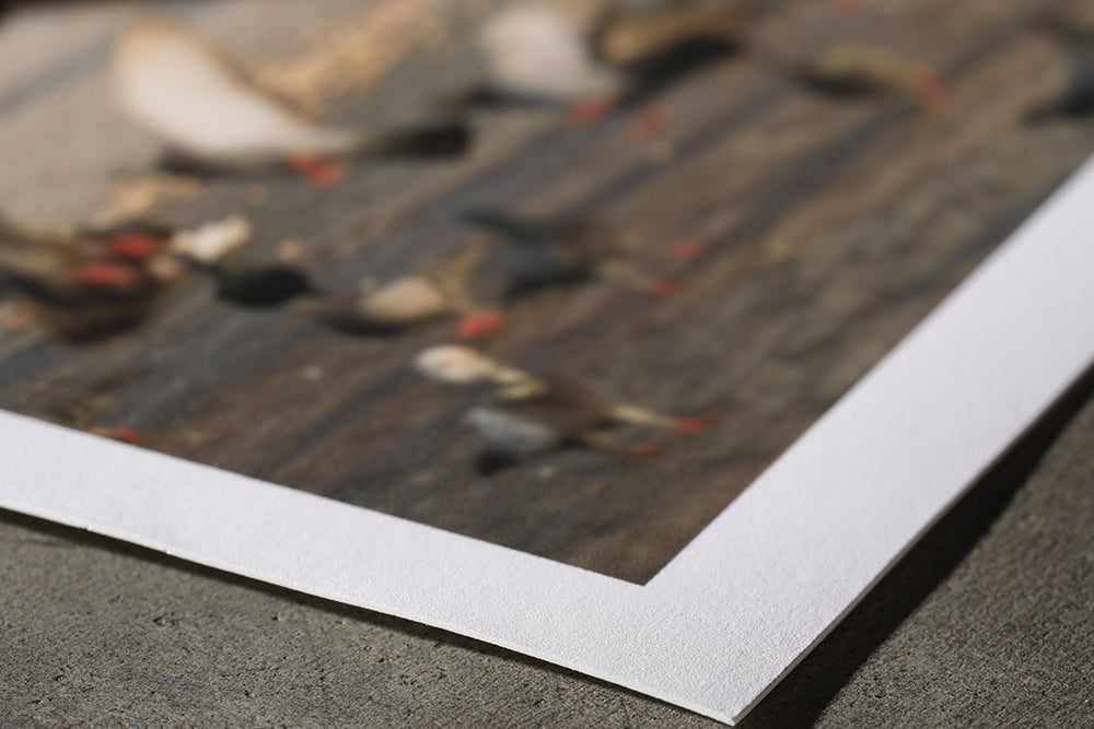 hot press bright archival paper