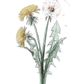 Illustration of dandelions on a white background