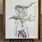 Framed Shira