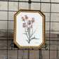Framed Thistle