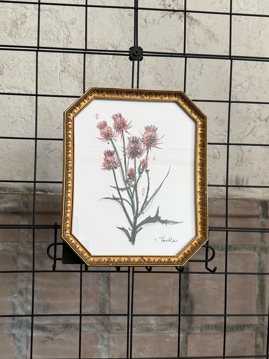 Framed Thistle