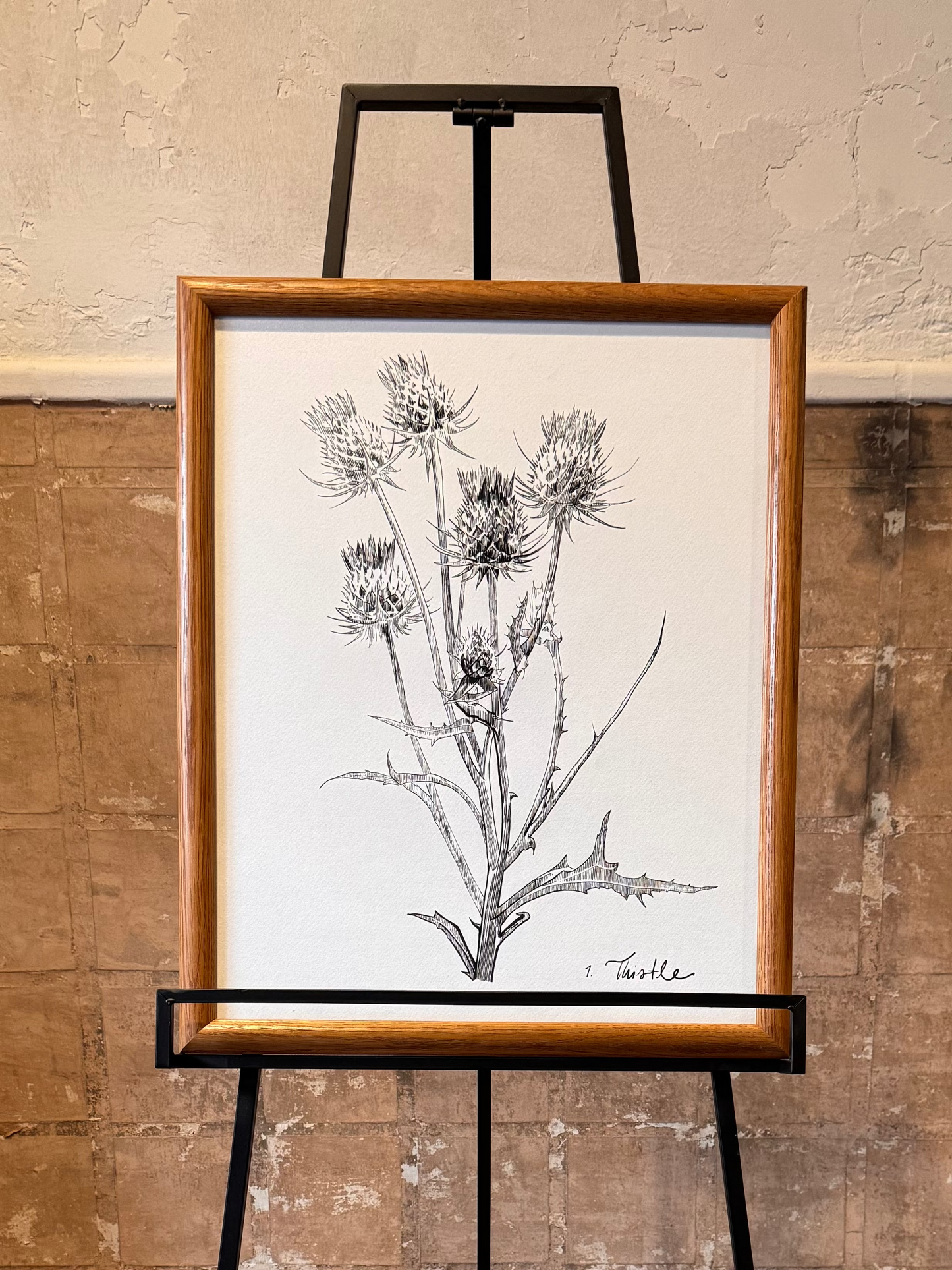 Framed botanical illustration on an easel against a textured wall. Thistle artwork. Artist: Joëlle Diane