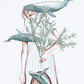 Illustration of a woman surrounded by blue whales, holding an olive branch, against a white background. Artist: Joëlle Diane