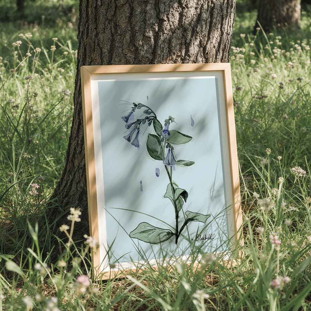 Framed botanical bluebell illustration leaning against a tree in a grassy field