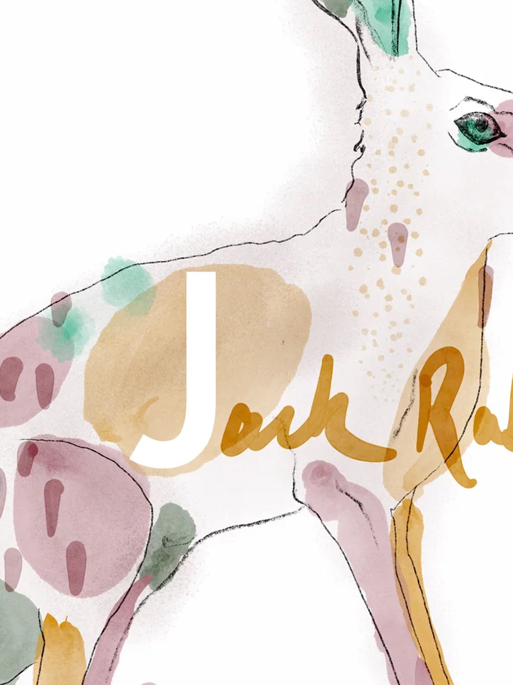 Illustration of a rabbit with colorful watercolor elements and 'Jack Rabbit' text