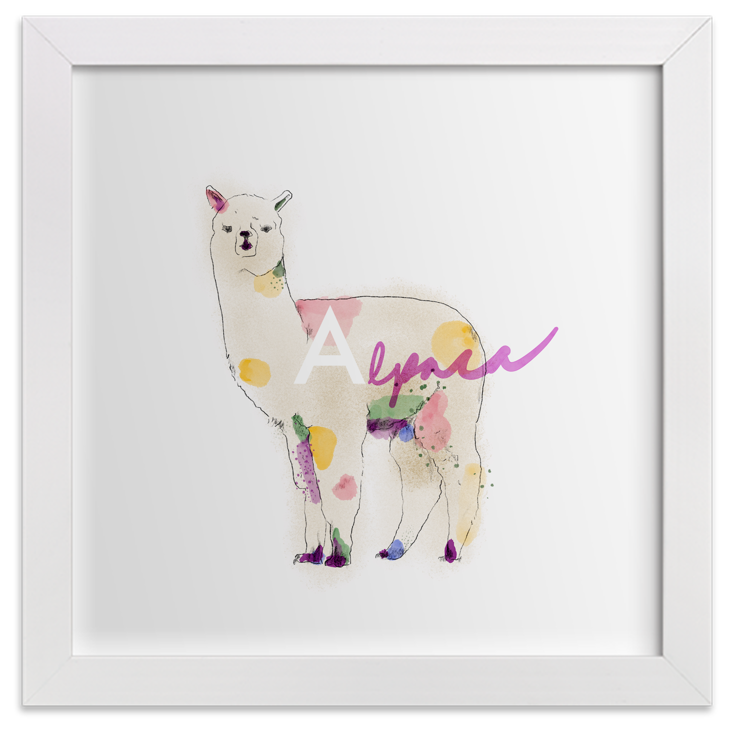 Alpaca Print + Frame