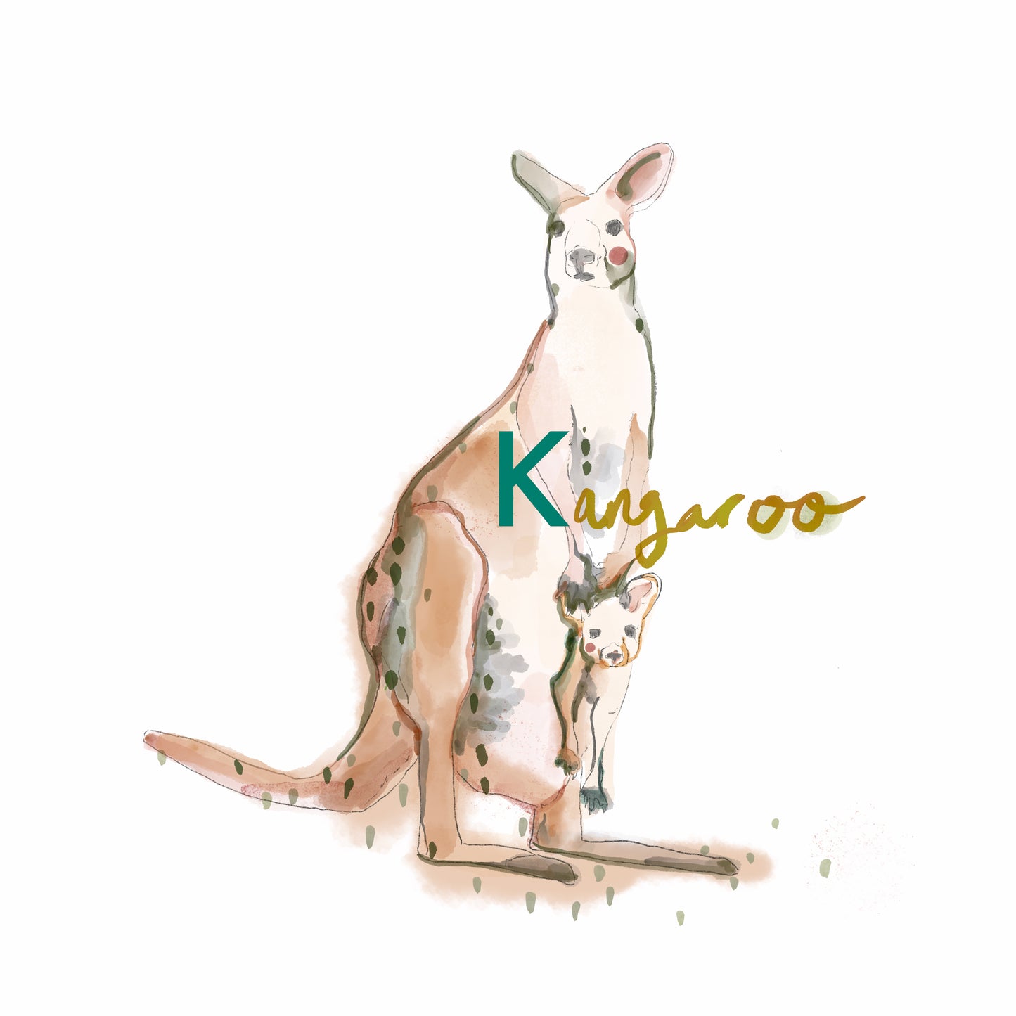 Kangaroo