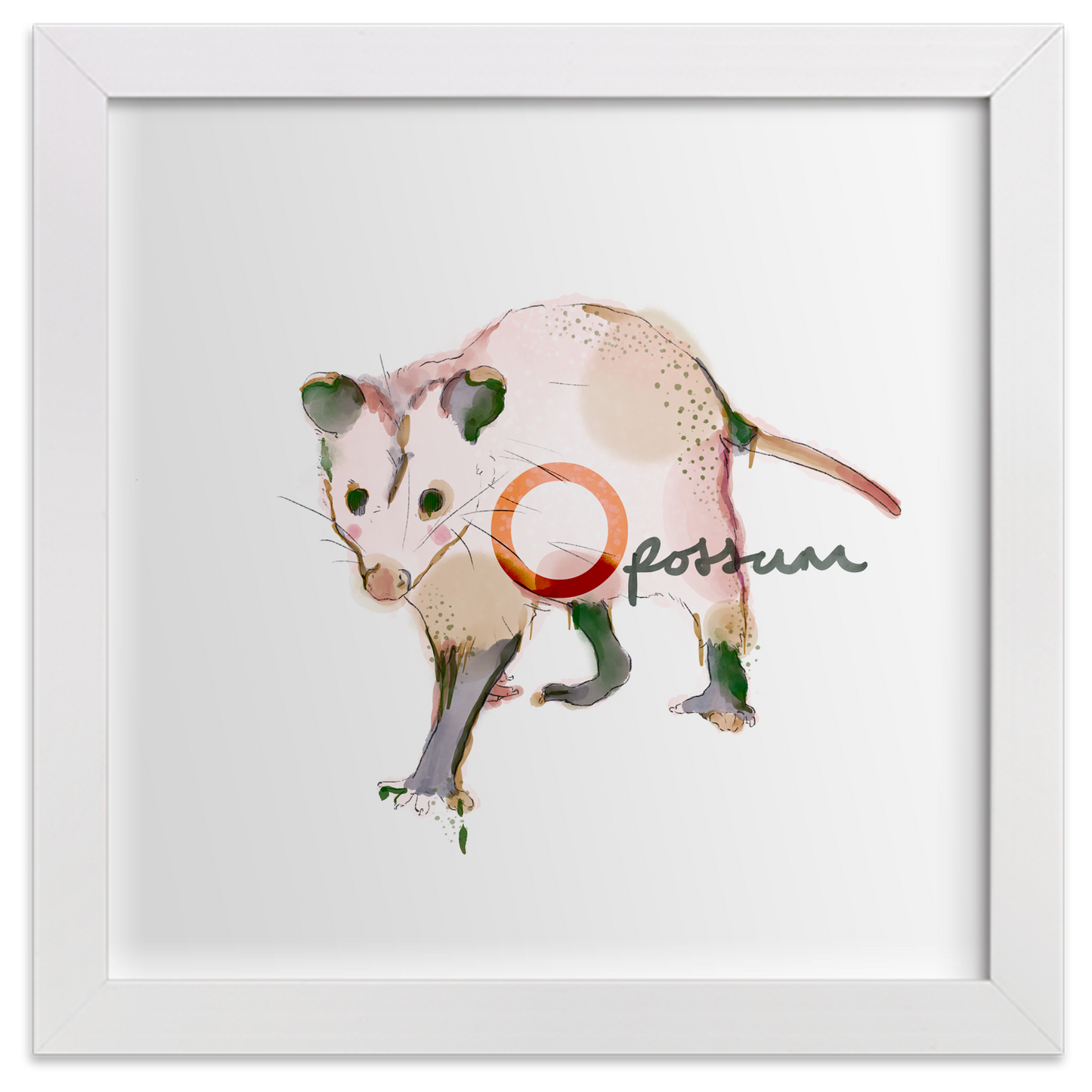 Opossum