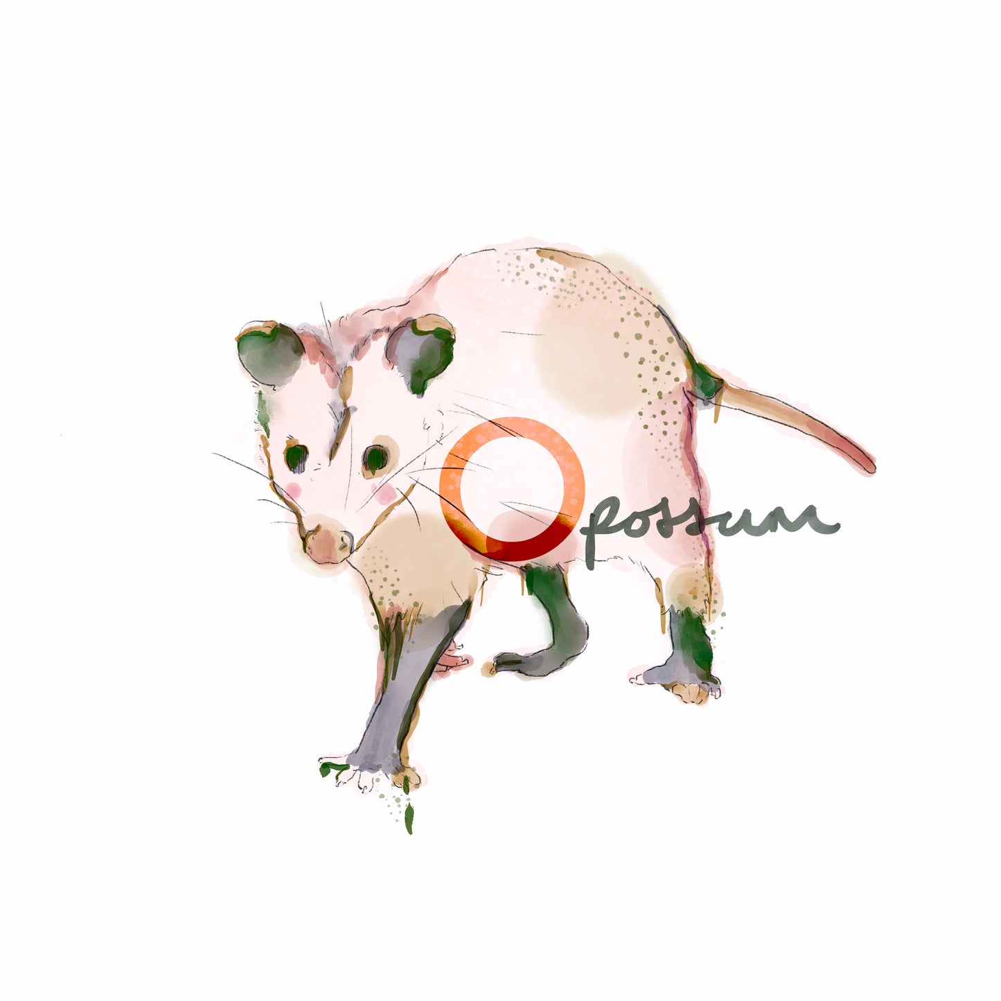 Opossum