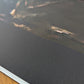 Heavyweight Cotton-Poly Blend Matte Canvas | Loose