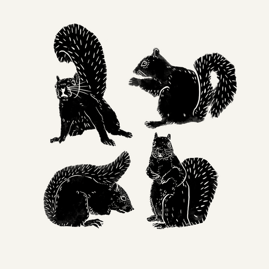 Black Squirrel Print